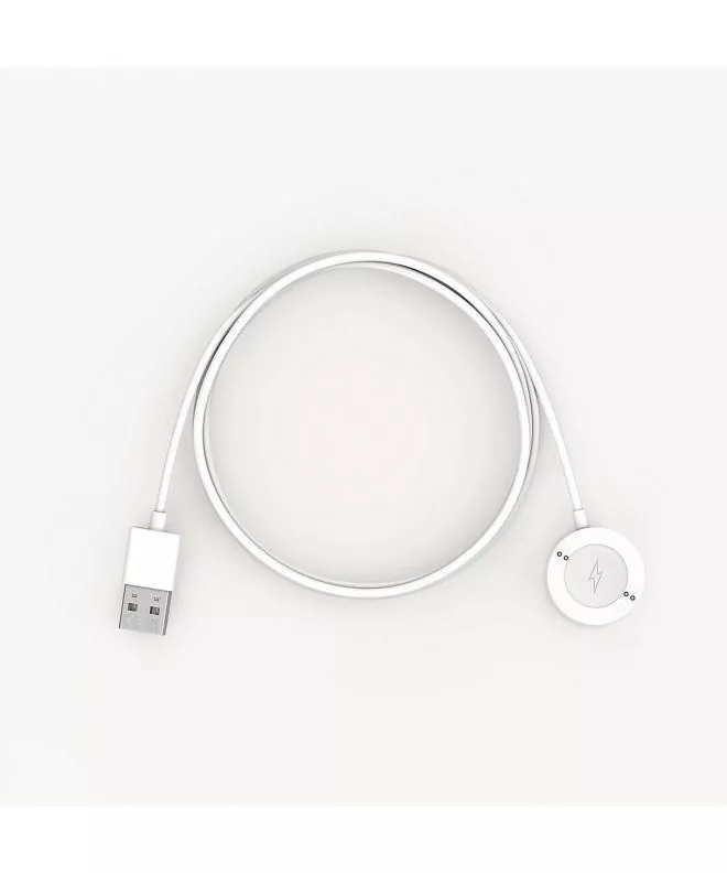 Cargador Skagen Falster Gen 6 Smartwatch Rapid Charger SKT0005G