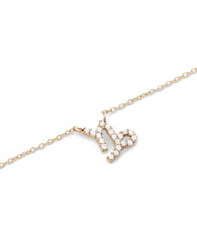 Collar Daniel Wellington Crystal Zodiac Chain Gold Capricorn DW00400928