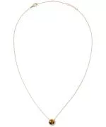 Collar Daniel Wellington Audrey Tiger Eye Gold