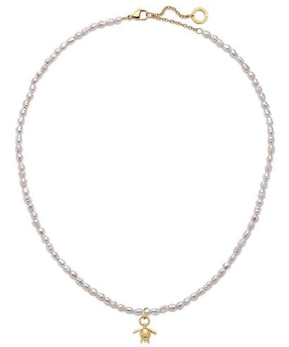 Collar Paul Hewitt Set Turtle Charm and Necklace Gold