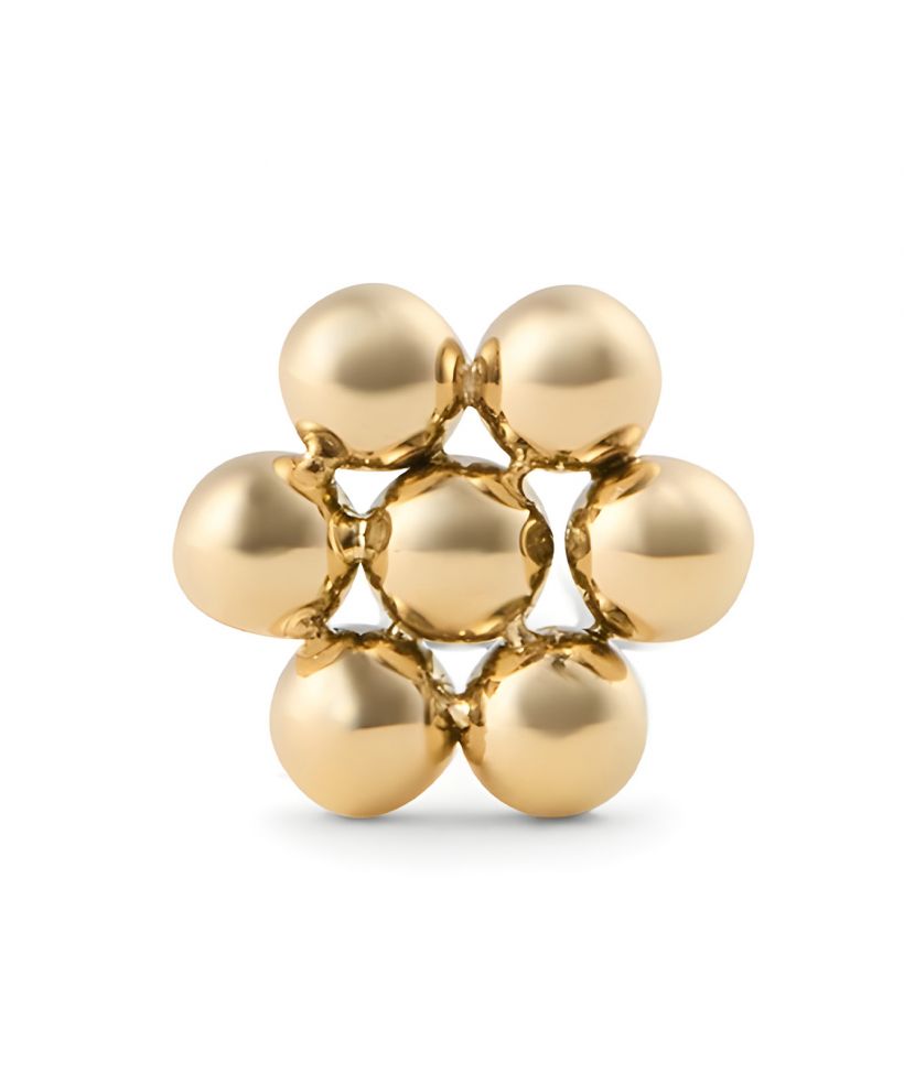 Pendiente Daniel Wellington Flower Stud Gold