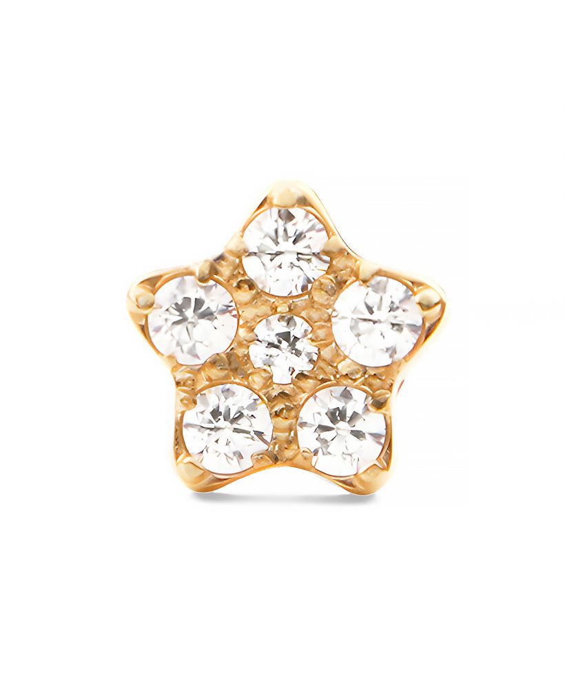 Pendiente Daniel Wellington Crystal Star Stud Gold