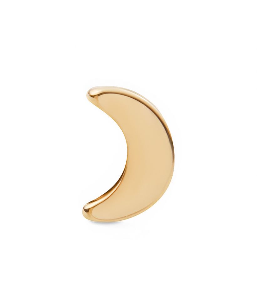 Pendiente Daniel Wellington Moon Stud Gold