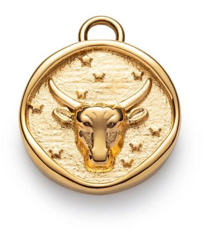 Colgante Paul Hewitt Taurus Charm Gold
