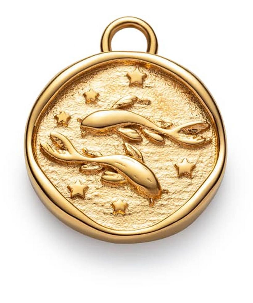 Colgante Paul Hewitt Pisces
